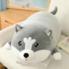 Peluche Coussin Husky