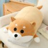 Peluche Coussin Shiba