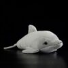 Dauphin Gris <br> Sonar™