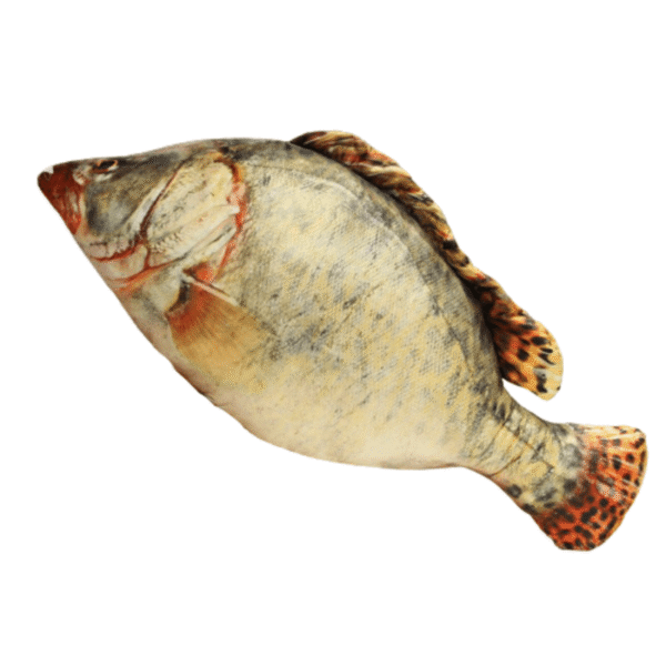 peluche-de-carpe.png Poisson Doudou