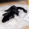 Peluche Dragon Noir <br> Mystic™