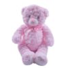 Peluche Ours en Rose