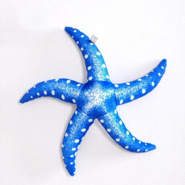 Véritable étoile de mer en peluche