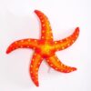 Véritable étoile de mer en peluche