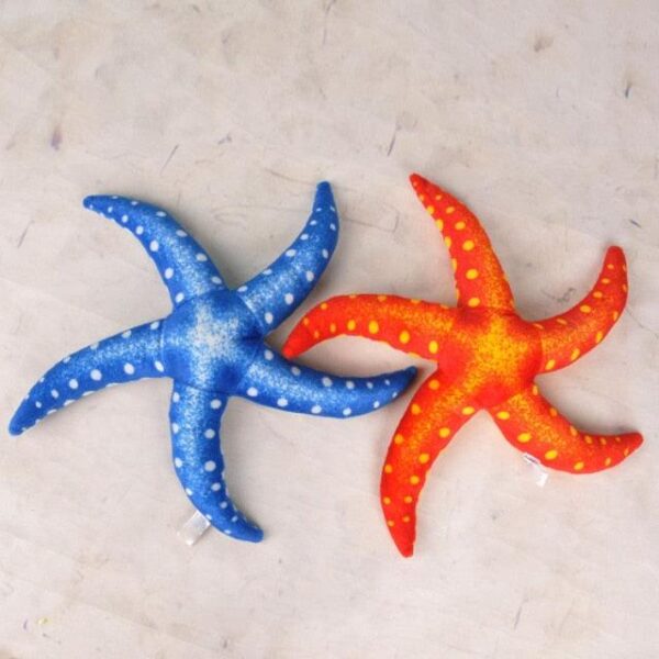 Véritable étoile de mer en peluche