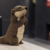 Jouets en peluche loutre de rivière de 7,4 pouces, animaux en peluche loutre en miniature