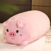 Peluche Coussin Cochon