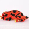 Peluche Grenouille Vénéneuse
