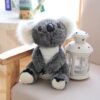 Peluche Koala d'Australie