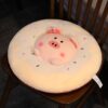 Peluche Coussin Cochon Donut