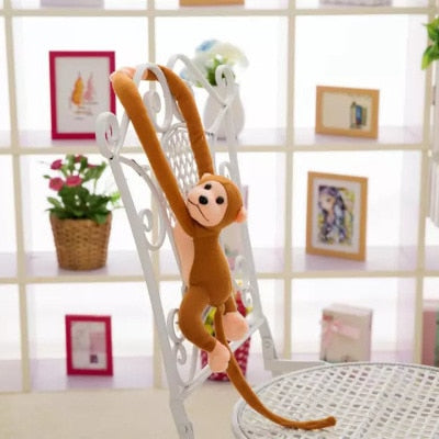 Singe câlin et marrant à longs bras