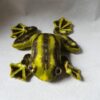 Peluche Grenouille Réaliste