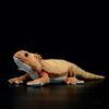 Peluche Dragon Barbu