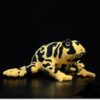 Peluche grenouille réaliste