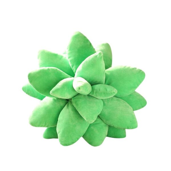 product-image-1772934440_040d3d6f-e97e-4af3-9448-50d822898f4f.jpg Peluches Plantes Succulentes