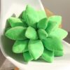 Peluches Plantes Succulentes