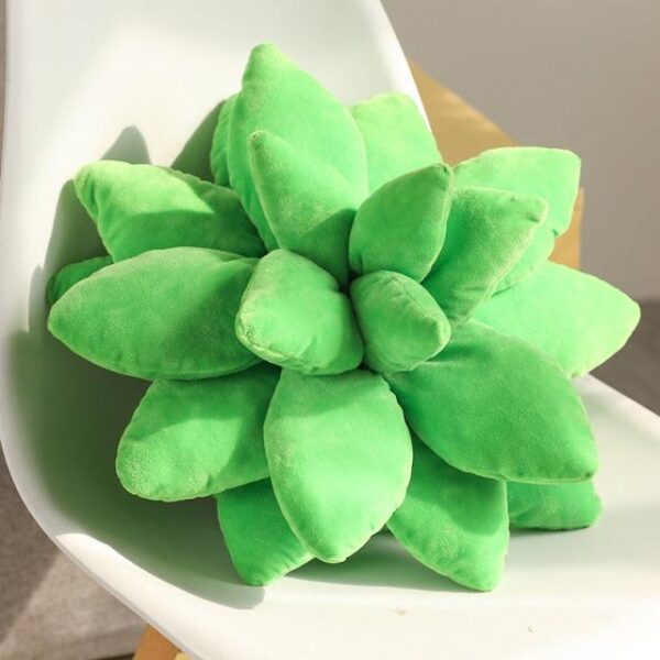 Peluches Plantes Succulentes