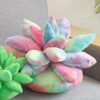 Peluches Plantes Succulentes