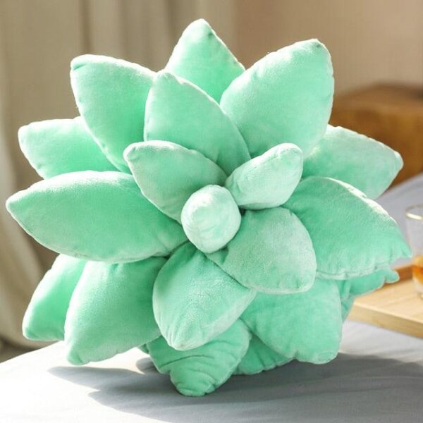 Peluches Plantes Succulentes