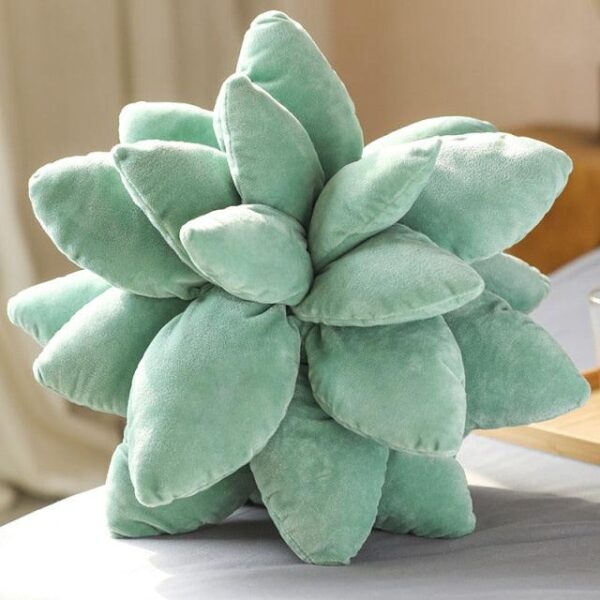 Peluches Plantes Succulentes
