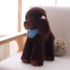 Peluche caniche 12
