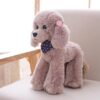 Peluche caniche 12