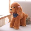Peluche caniche 12