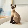 Jouets en peluche pour chat américain à poil court et siamois