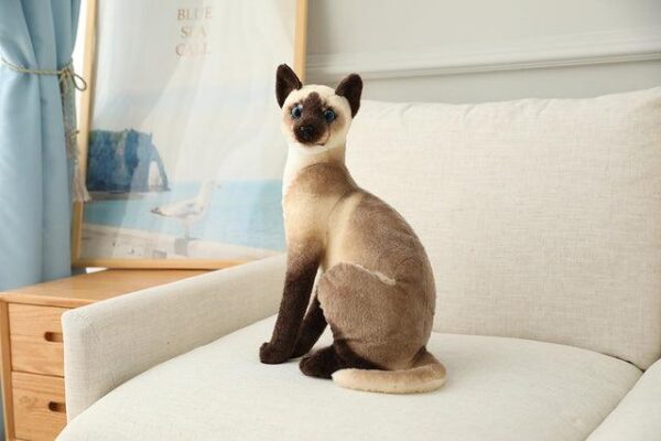 Jouets en peluche pour chat américain à poil court et siamois