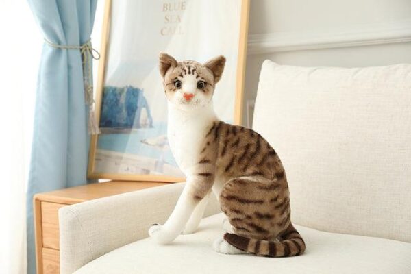 Jouets en peluche pour chat américain à poil court et siamois
