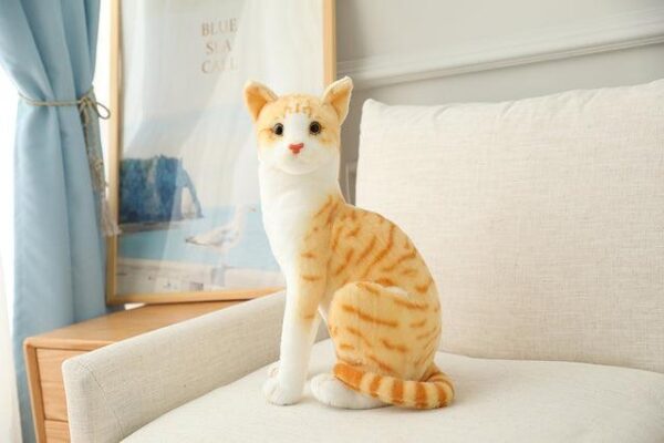Jouets en peluche pour chat américain à poil court et siamois
