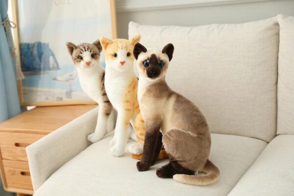 Jouets en peluche pour chat américain à poil court et siamois