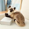 Jouets en peluche pour chat américain à poil court et siamois