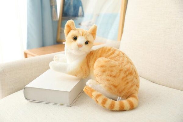 Jouets en peluche pour chat américain à poil court et siamois