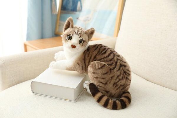 Jouets en peluche pour chat américain à poil court et siamois