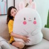 Oreiller en peluche Kawaii