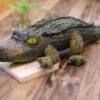 Peluche Crocodile effrayant