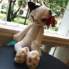 Animaux en peluche Tamino Maita Cat
