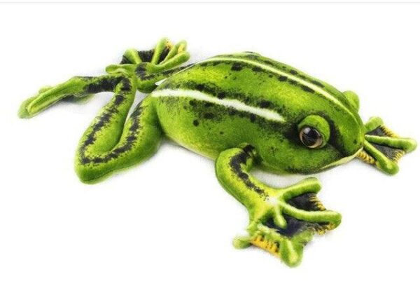 Peluche de Grenouille