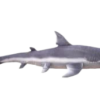 Peluche en forme de requin à câliner