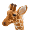 Grande Peluche Girafe
