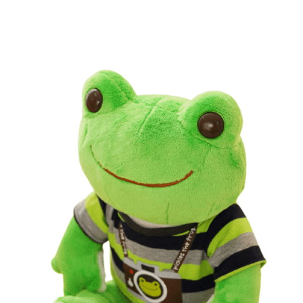 Peluche Grenouille Verte