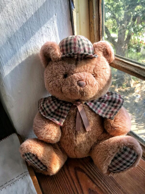 Adorable teddy bear in plaid sitting by a sunlit window, perfect for decor or children's themes.
