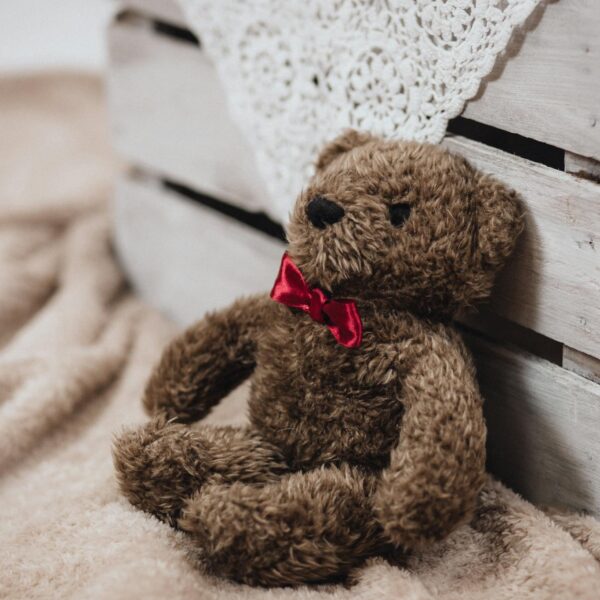 photo by freestocks.org Charming teddy bear with a red bowtie, resting against a rustic wooden crate on a soft, cozy blanket.
