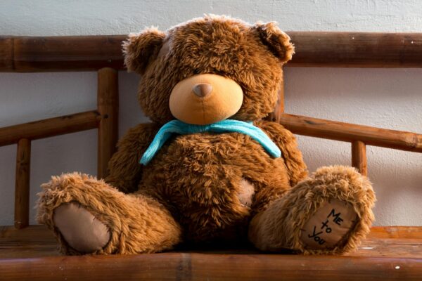 Cute brown teddy bear with blue scarf seated on wooden bench, perfect for cuddling.