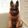berger allemand en peluche.jpg