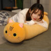 coussin geant chat roux.jpg