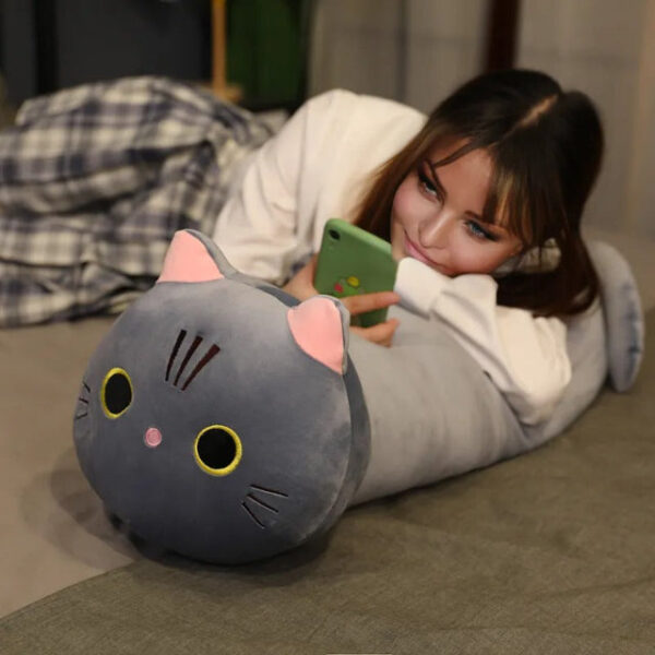 coussin peluche chat.jpg