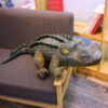 crocodile en peluche geante realiste.jpg