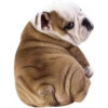 grosse peluche chien realiste.jpg